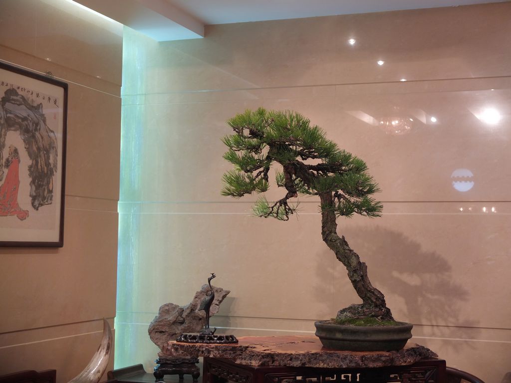 DSCF9147.jpg