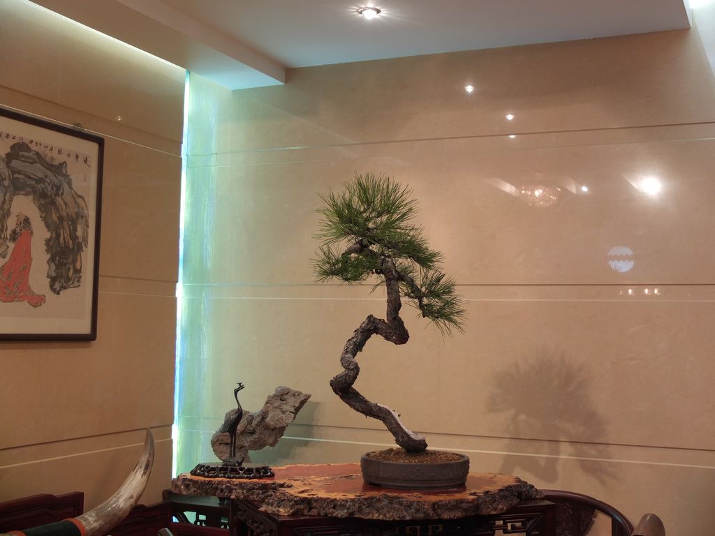 DSCF9313.jpg