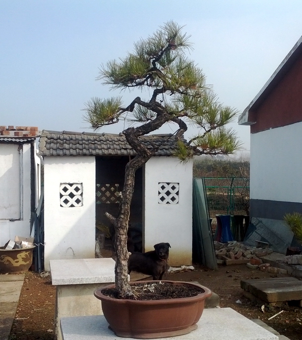 IMG_20130123_103136.jpg