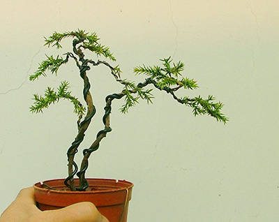 DSCF4933С.jpg