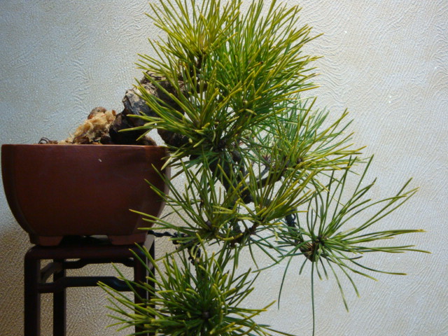 DSC01868.JPG