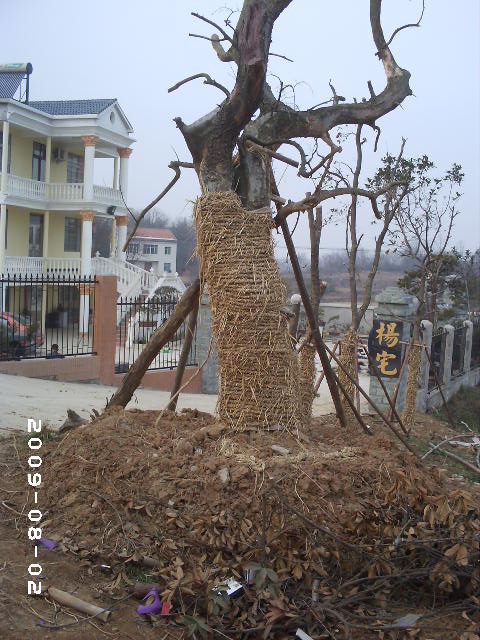 PHOT0159.JPG