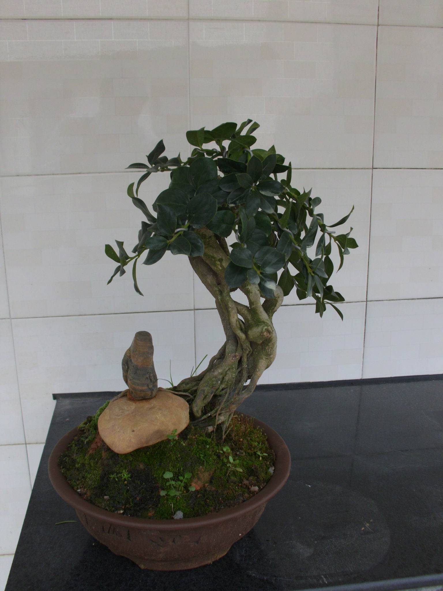 DSCI0490.JPG