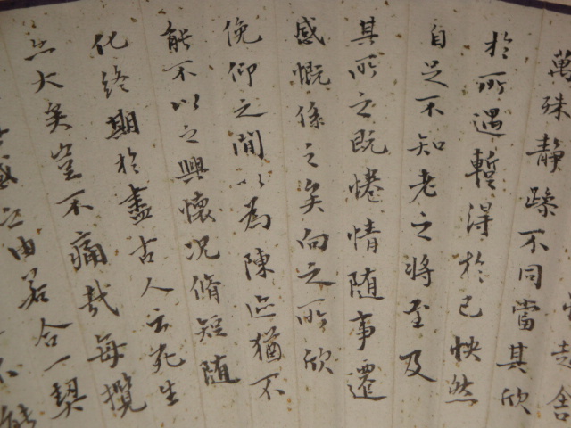 DSC01993.JPG