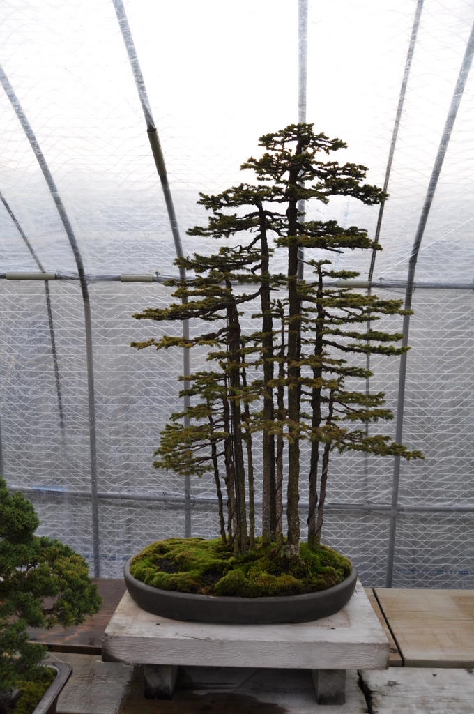 2-20-2011-069.jpg