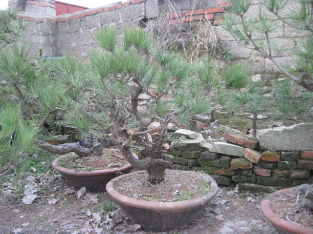 2013-1-30ĺ 023.jpg