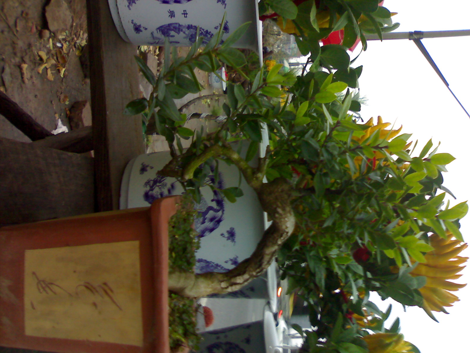 20071117013.jpg