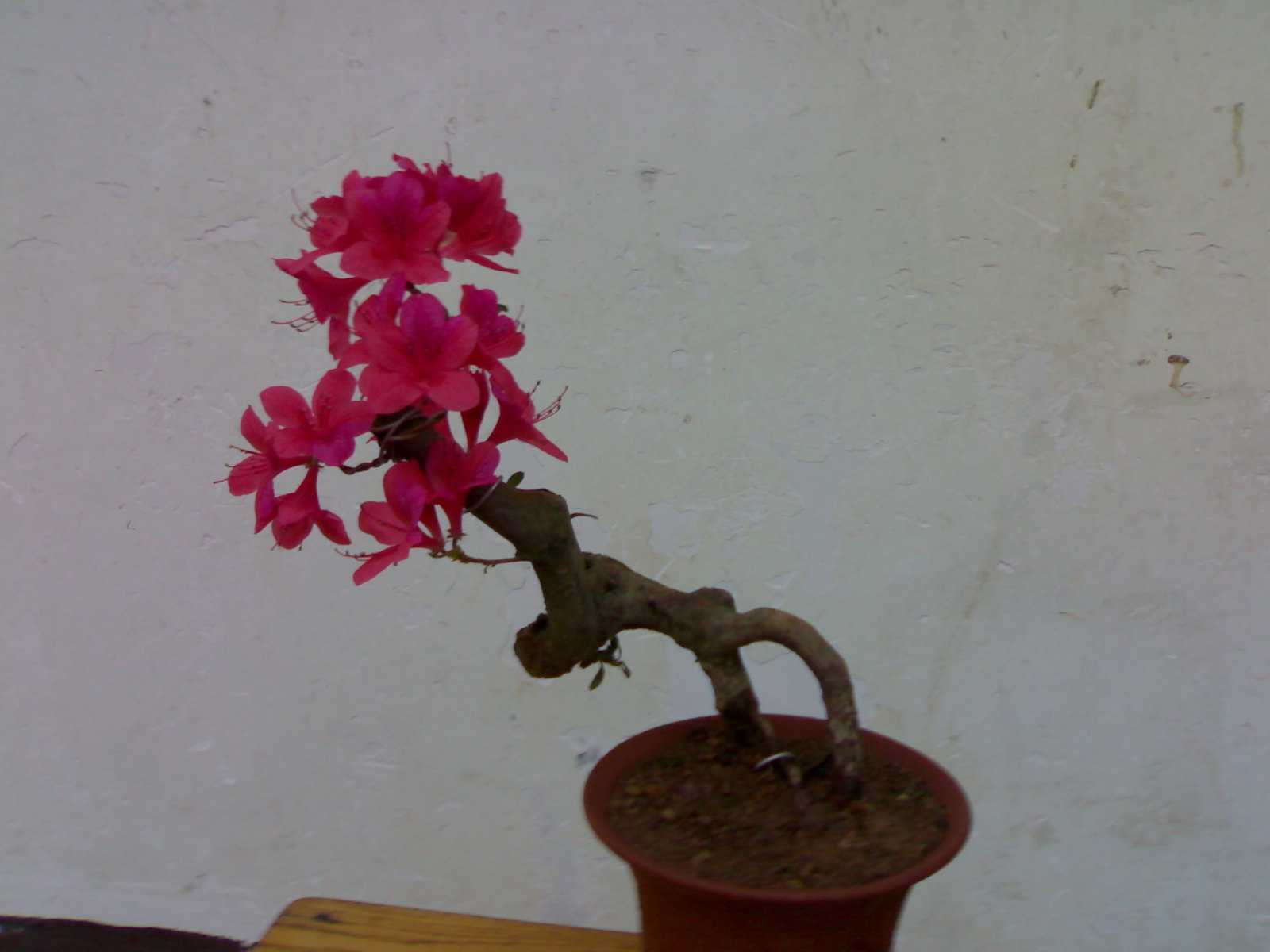 20080412058.jpg