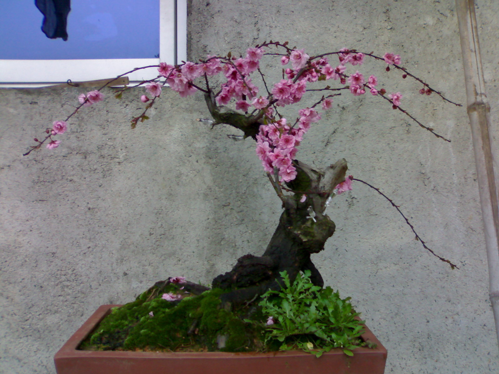 20100227097.jpg