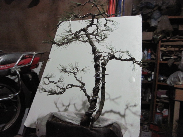 2013-1-31 005.jpg