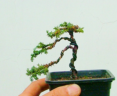 DSCF4937С.jpg