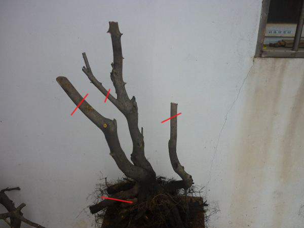 220521s5wh0q5p5tphgpwf_jpg_thumb.jpg