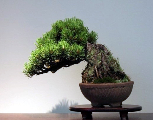 EBA Zurich 2010 046.jpg