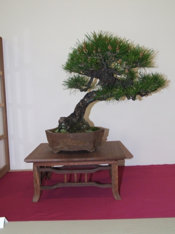 Go-Gatsu Ten 2008 068.jpg