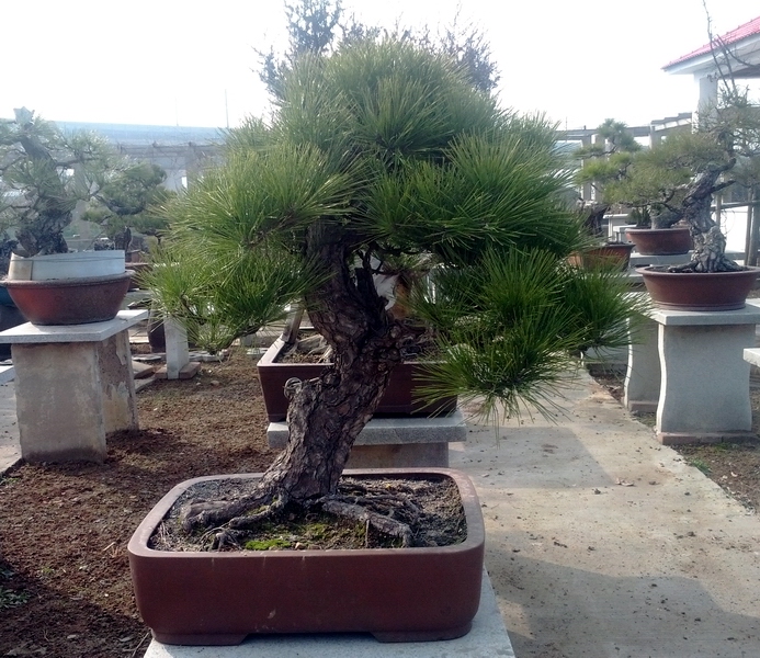 IMG_20130123_103115.jpg