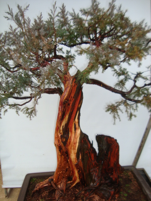 DSC06302.jpg