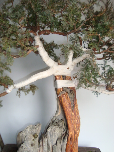 DSC06304.jpg