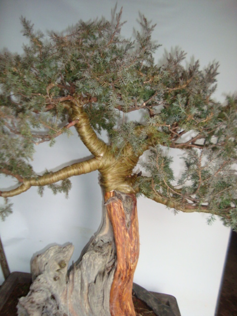 DSC06305.jpg