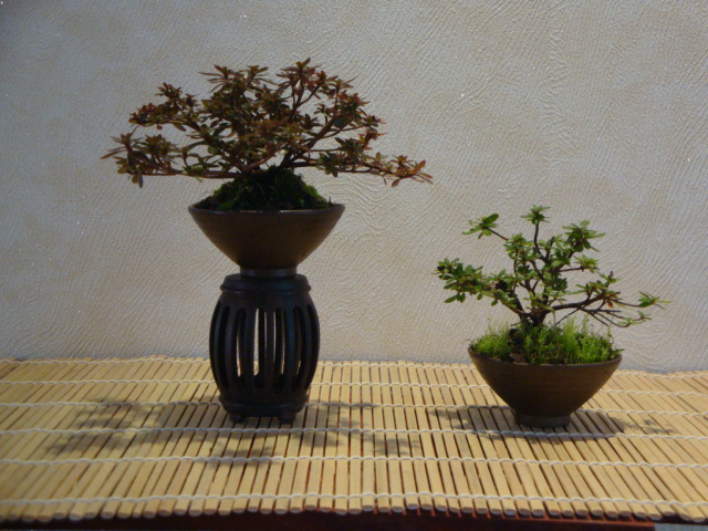 DSC02017.JPG