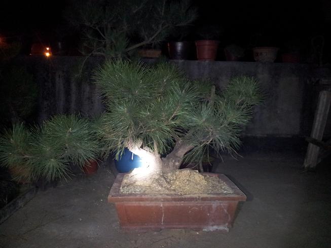 20130201_213143.jpg