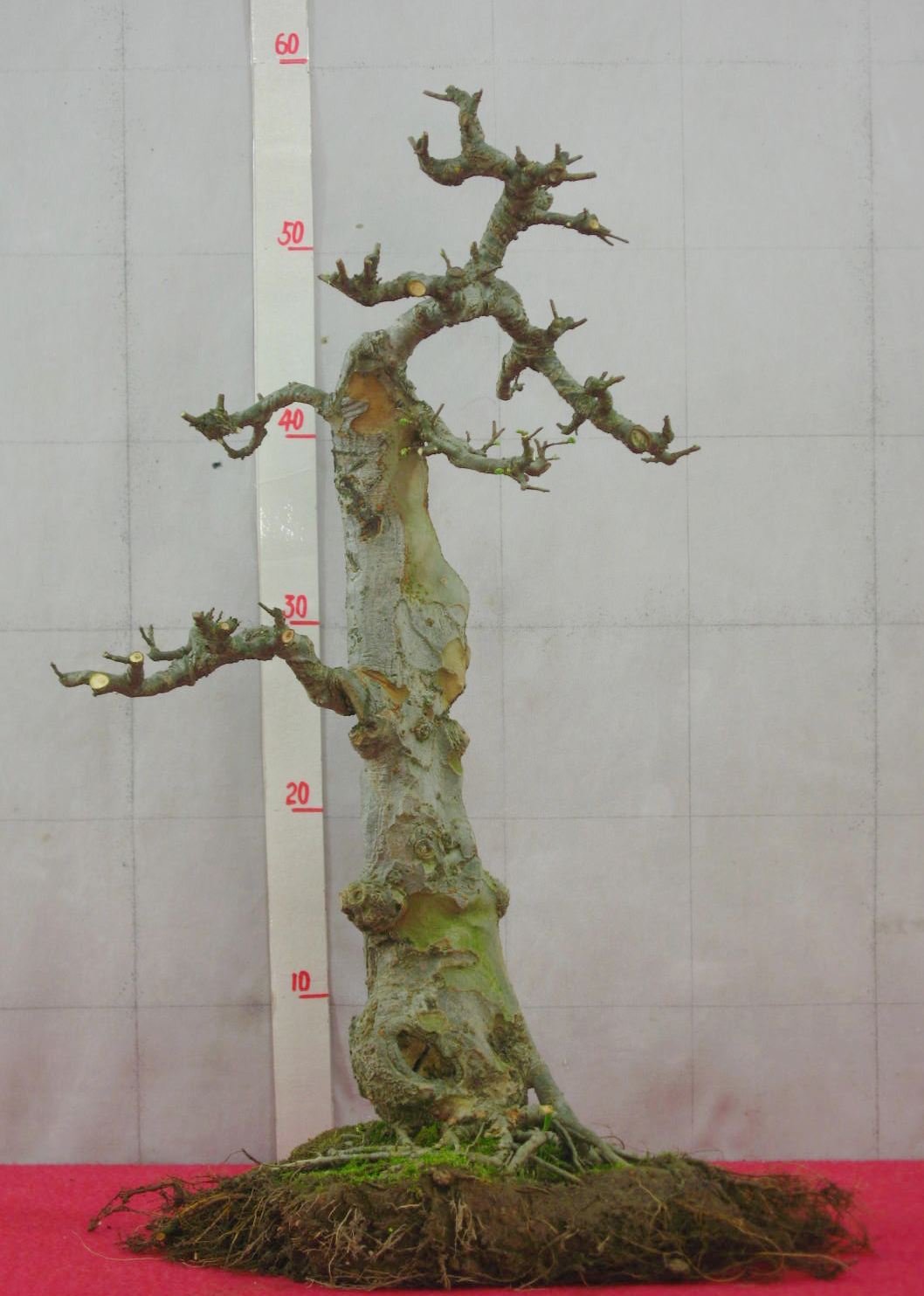 149-5.jpg