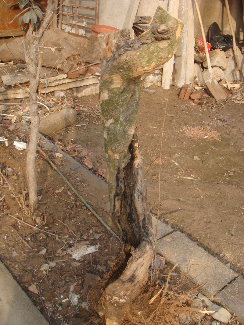 DSC03242ͼ.JPG