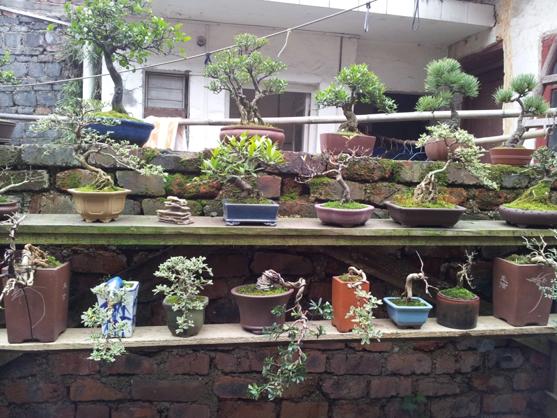 20130202_140357.jpg