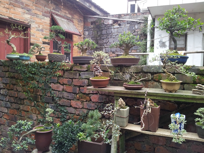20130202_140406.jpg