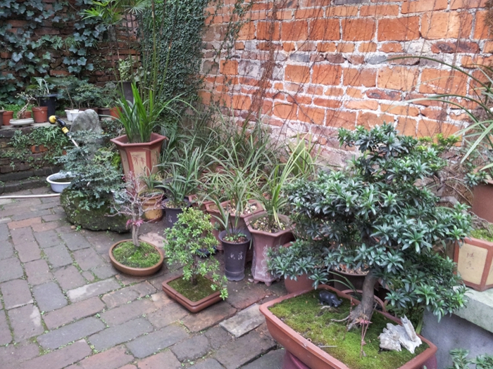 20130202_140600.jpg