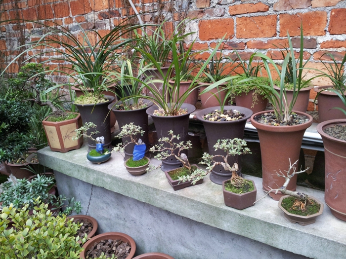 20130202_140550.jpg