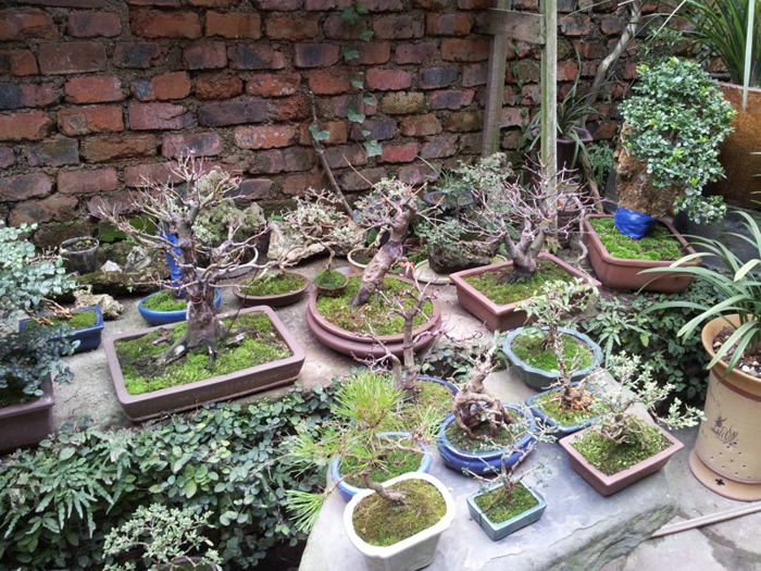 20130202_140528.jpg