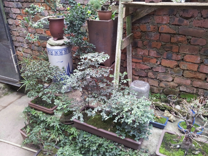 20130202_140538.jpg