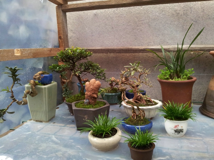 20130202_140741.jpg