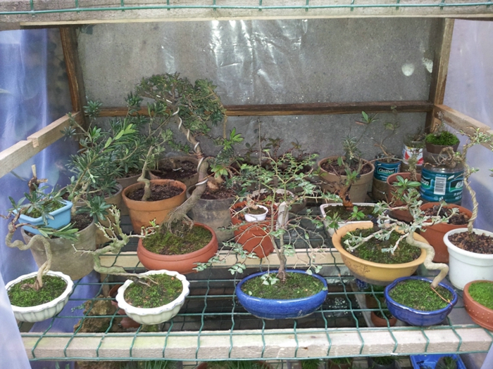 20130202_140900.jpg