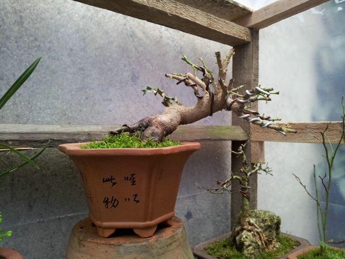 20130202_140802.jpg