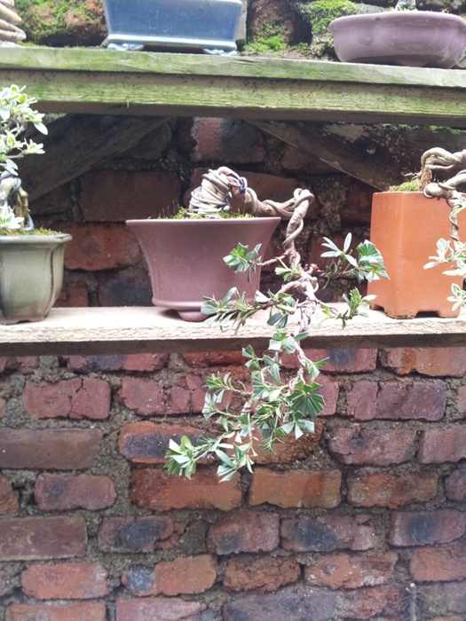 20130202_140339.jpg