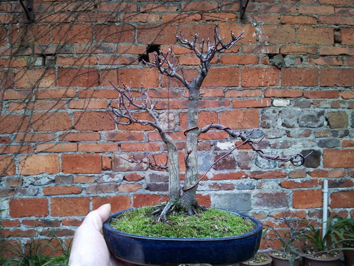 20130202_141103.jpg