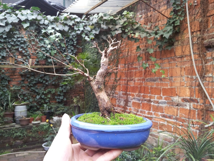 20130202_141130.jpg