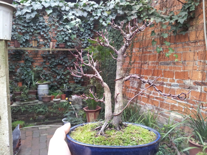 20130202_141113.jpg
