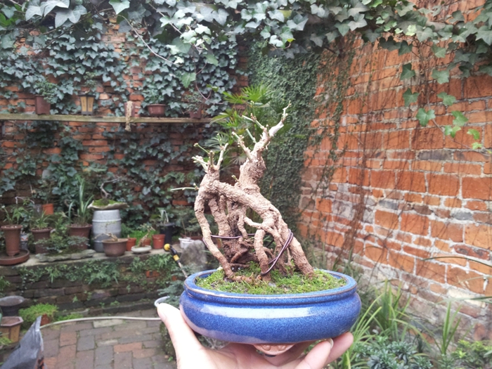 20130202_140456.jpg