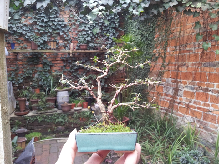 20130202_140434.jpg