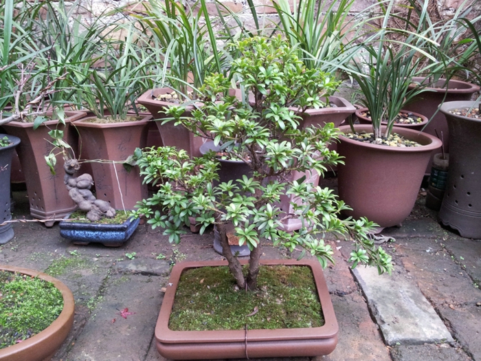 20130202_140616.jpg