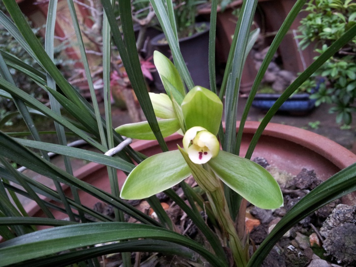 20130202_135651.jpg