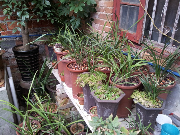 20130202_141019.jpg