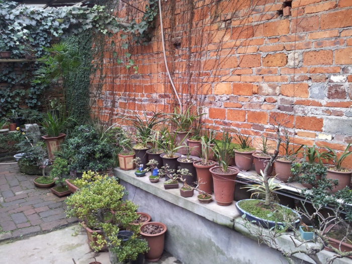 20130202_141010.jpg