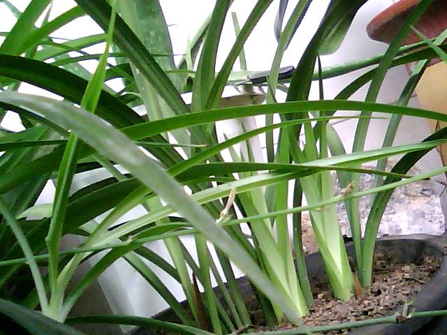 ͼƬ 041.jpg