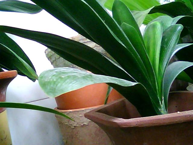 ͼƬ 044.jpg