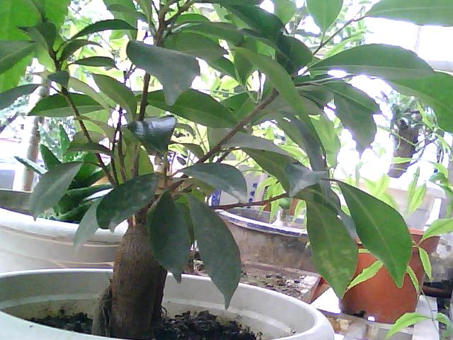 ͼƬ 054.jpg
