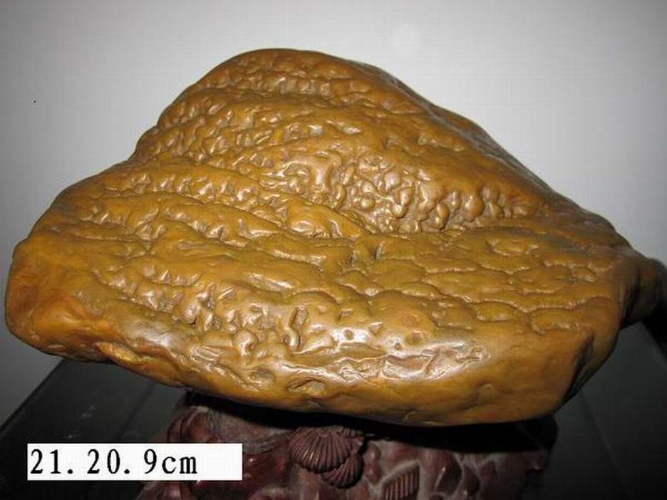 ղʯ֮һ 782.jpg