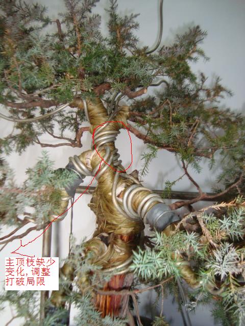 DSC06309.JPG